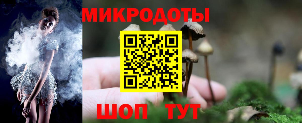 Псилоцибиновые грибы мухоморы Северобайкальск