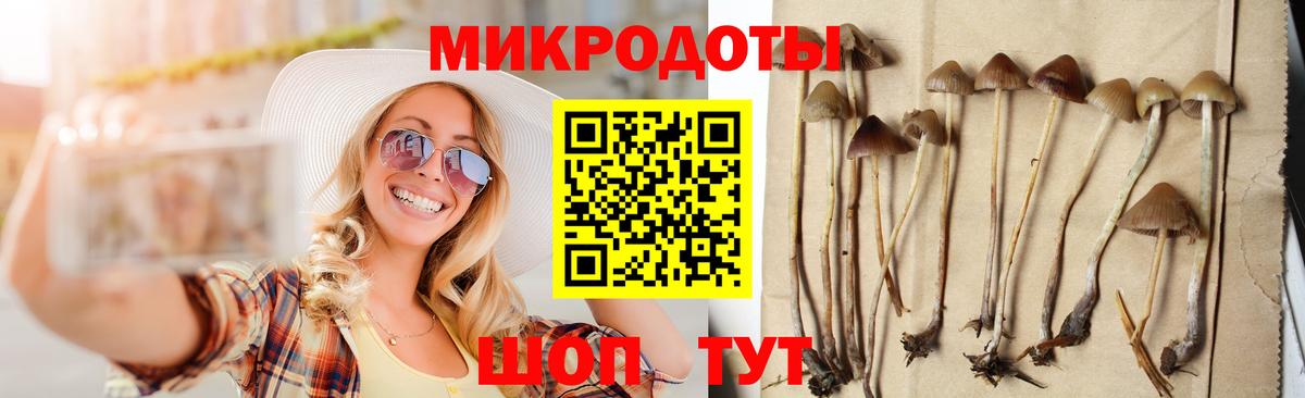 Псилоцибиновые грибы мицелий  Вход с VPN  Северобайкальск 